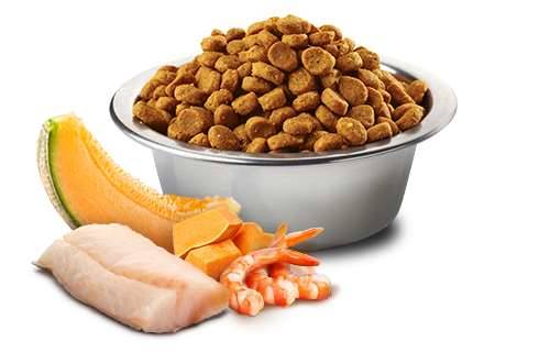 N&D Ocean Kitten cod,shrimp,pumpkin&cantalup 1,5kg