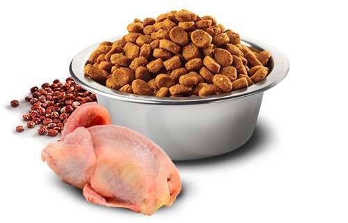N&D Dog Quinoa Skin&Coat Quail,coconut mini 800 gr