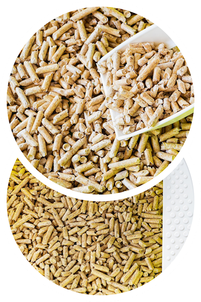 Euphoria Home Care Natural Corn Cat 5l