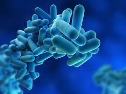 Badanie Wody Legionella