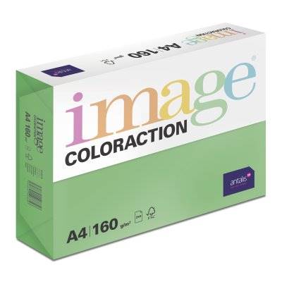 Papier ksero A4 zielony 80g DUBLIN 500 ark.