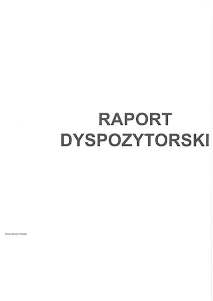 Raport dyspozytorski A4 100k. tw. opr.