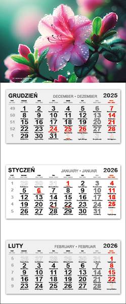 Kalendarz trójdzielny 2026 (18) LILIA