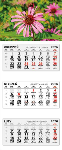 Kalendarz trójdzielny 2026 (23) KWIAT 