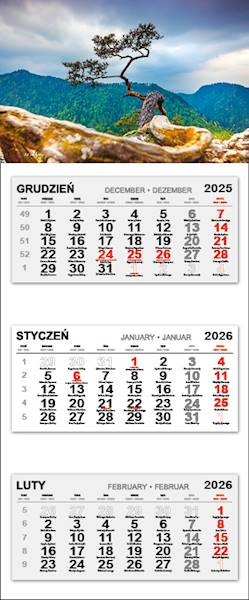 kalendarz trójdzielny 2026 (21) DRZEWO W GÓRACH