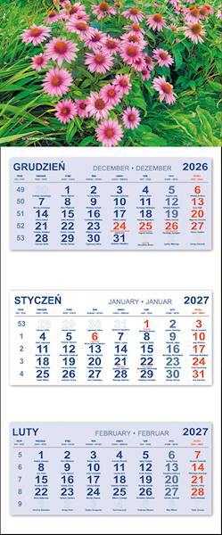 Kalendarz trójdzielny 2027 (24) KWIATKI