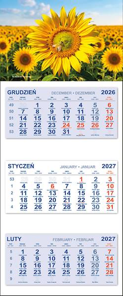 kalendarz trójdzielny 2027 (26)  SŁONECZNIK