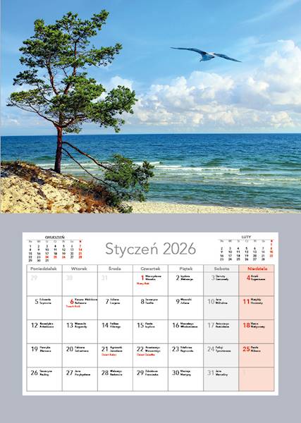 Kalendarz jednodzielny A3 2026 (28) PLAŻA, DRZEWO