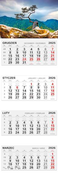 Kalendarz czterodzielny 2026 (21) DRZEWO W GÓRACH