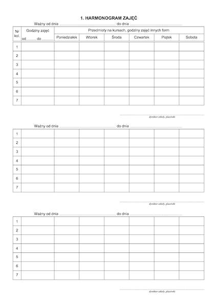 Dziennik zajęć dodatkowych MEN-I/6D