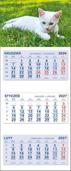 Kalendarz trójdzielny 2027 (27) KOTEK