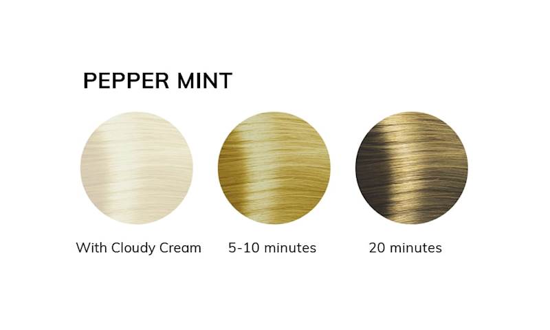 LISAP PASTEL PEPPERMINT 60ml farba 
