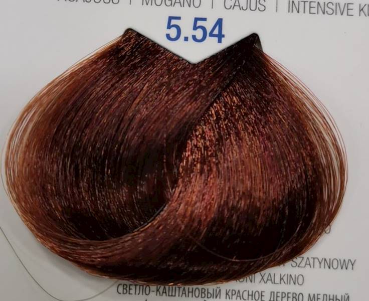 ABRIL 5.54 Farba 60ml