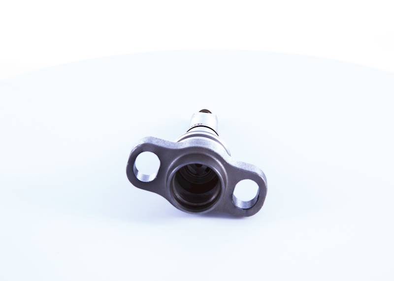 Element pompy Bosch 2418455188