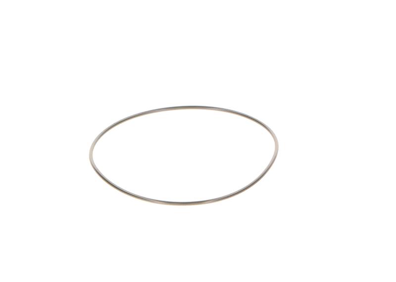O-ring Bosch 2440210044