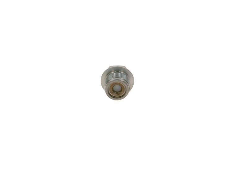 Króciec przyłączeniowy Bosch 2443461027