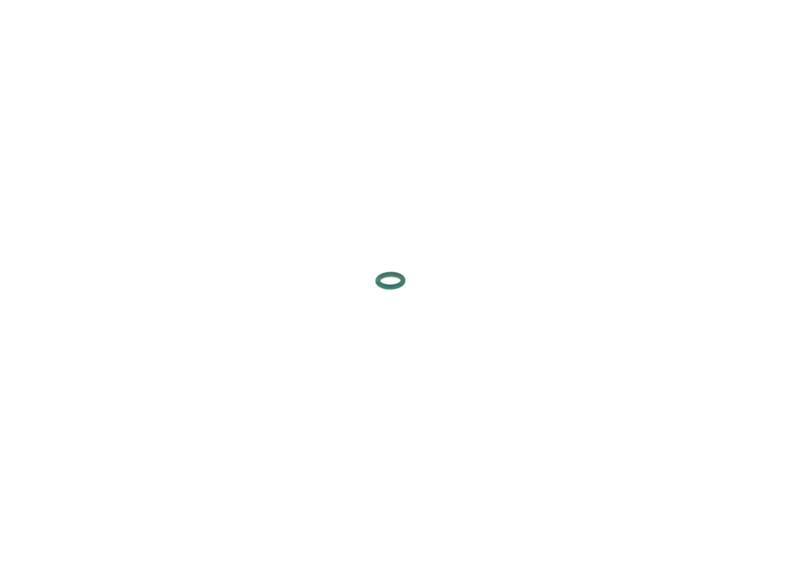 O-ring Bosch 2440210002