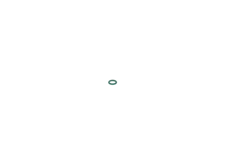 O-ring Bosch 2440210002