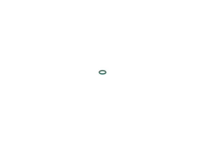 O-ring Bosch 2440210002