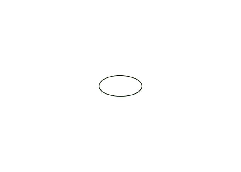 O-ring Bosch F00N201204