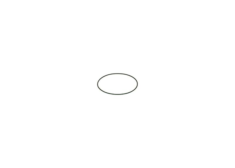 O-ring Bosch F00N201204