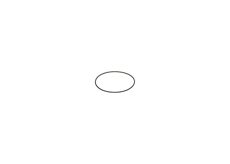O-ring Bosch F00N201204
