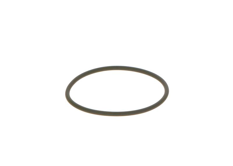 O-ring Bosch F00N201306
