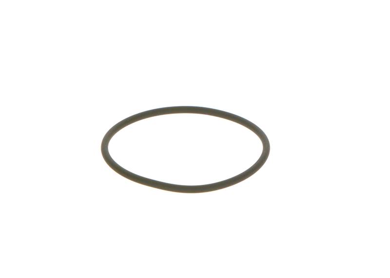 O-ring Bosch F00N201306