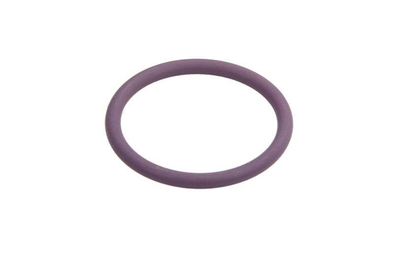 Oring Delphi 7200-0119 (fioletowy)