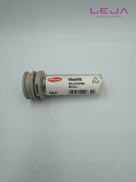 Rozpylacz Delphi 6980548