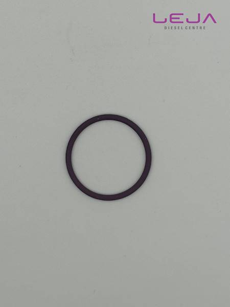 Oring wtryskiwacza Delphi 7200-0054