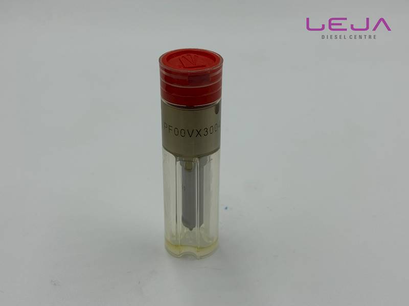 Rozpylacz WZM PF00VX30041