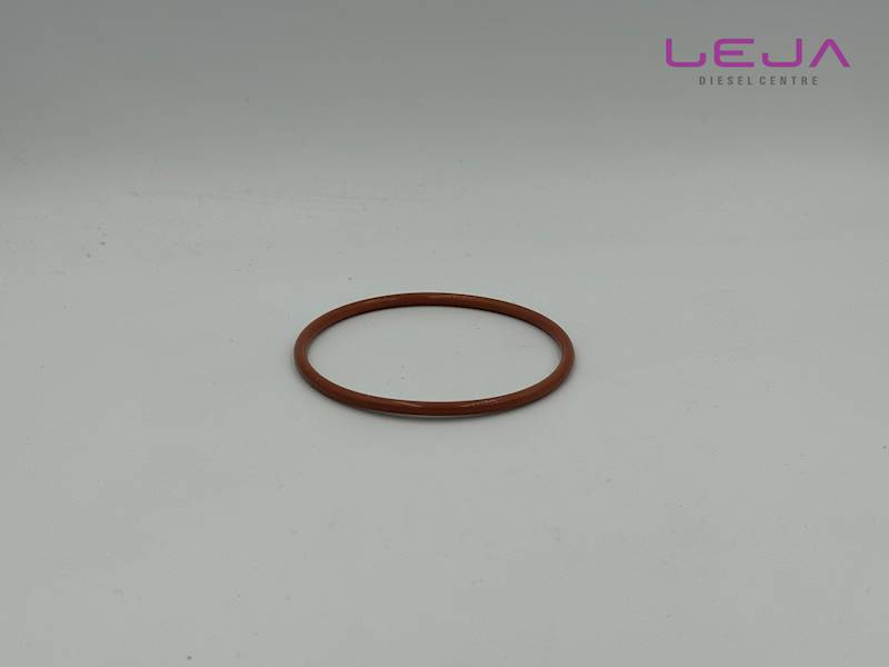 Oring Delphi 9167-415P