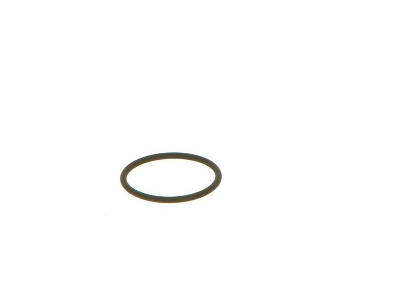 O-ring Bosch F00VC38002