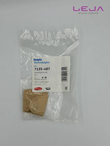 Zestaw przekładka + trzpień Delphi 7135-487