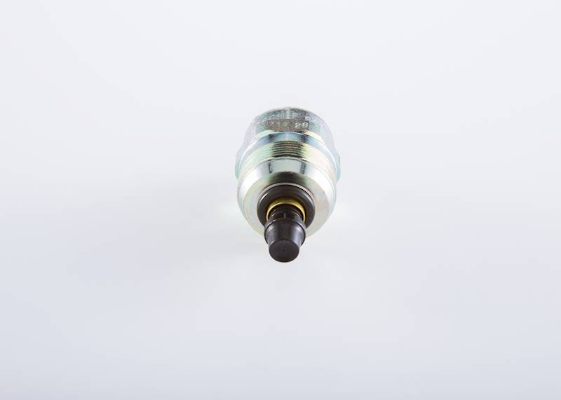 Elektromagnes Bosch F002D13640
