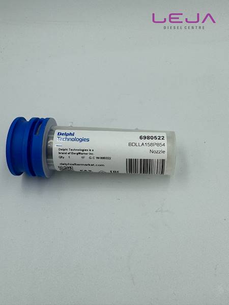 Rozpylacz Delphi 6980522
