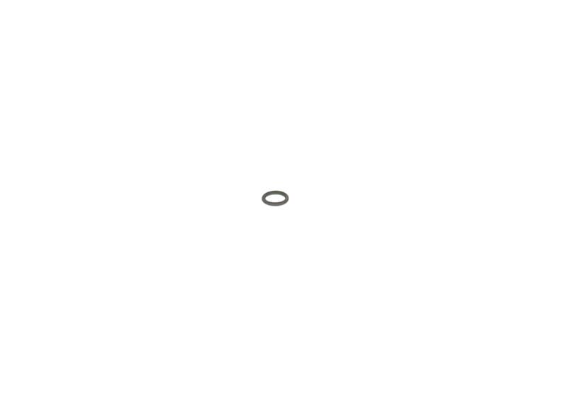 O-ring Bosch 2440210010