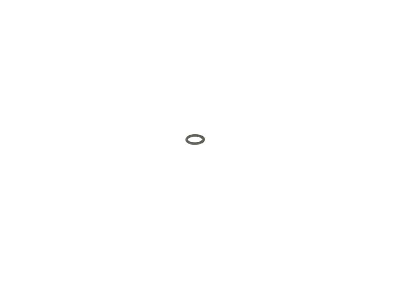 O-ring Bosch 2440210010