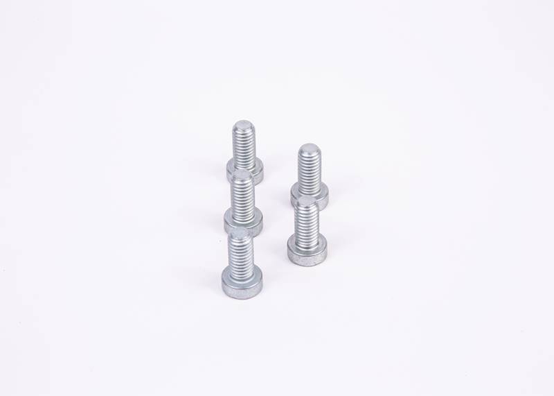 Wkręt z łbem walcow. torx Bosch F01M100684