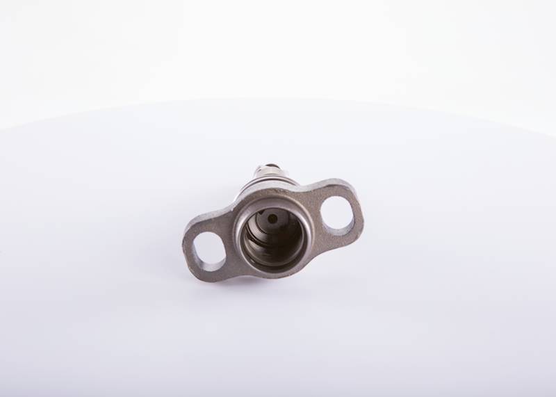 Element pompy Bosch 2418455512