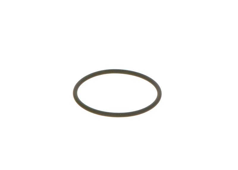 O-ring Bosch F00N202130