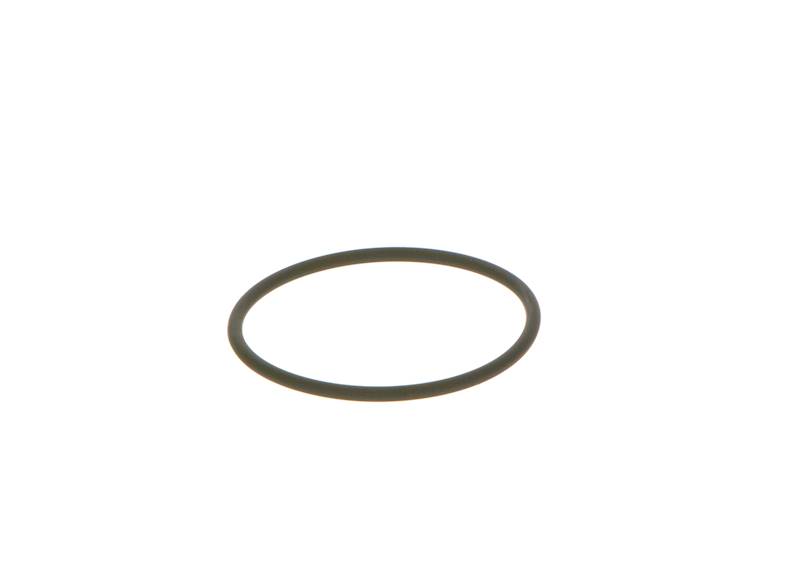 O-ring Bosch F00N202130