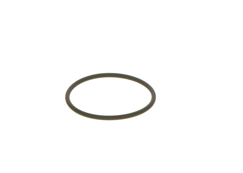 O-ring Bosch F00N202130
