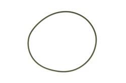 Oring Delphi 7190-065KN