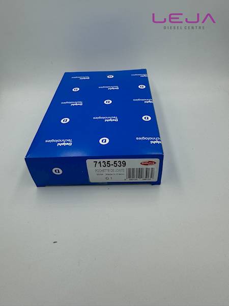 Zestaw uszczelek pompy Delphi 7135-539