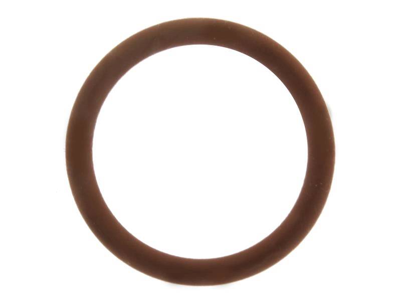 Oring Delphi 7200-0092