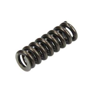 Sprężyna elektromagnesu Bosch F00VC09305