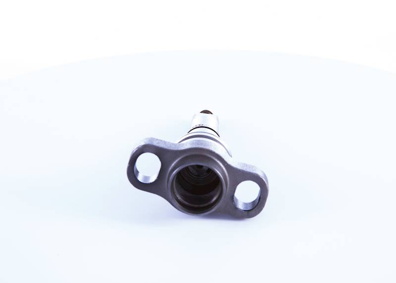 Element pompy Bosch 2418455196
