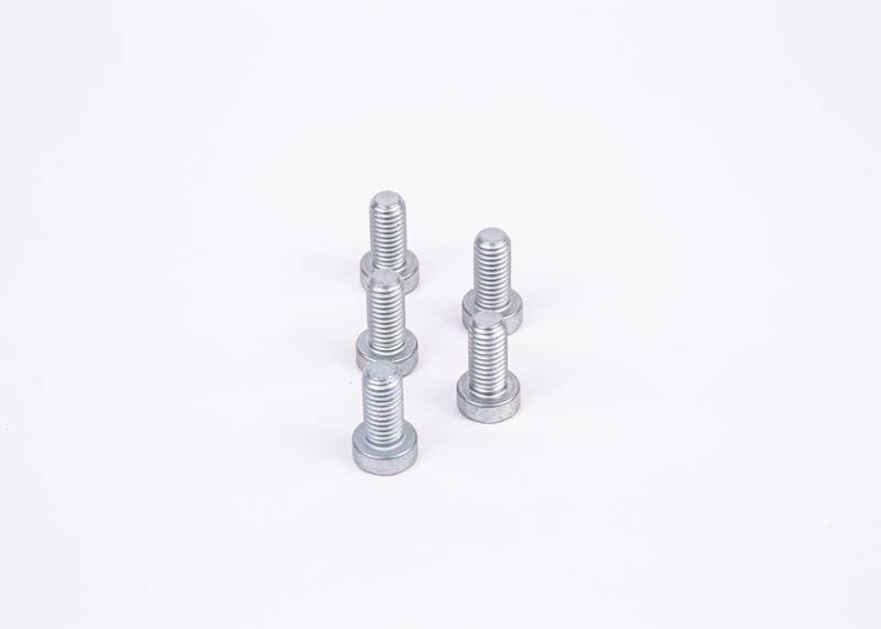 Wkręt z łbem walcow. torx Bosch F01M100684